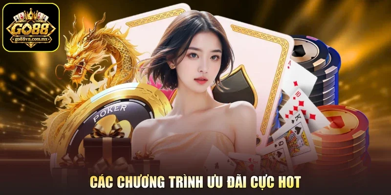 Các chương trình ưu đãi cực hot
