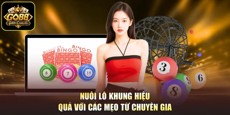 Nuôi lô khung hiệu quả với các mẹo từ chuyên gia