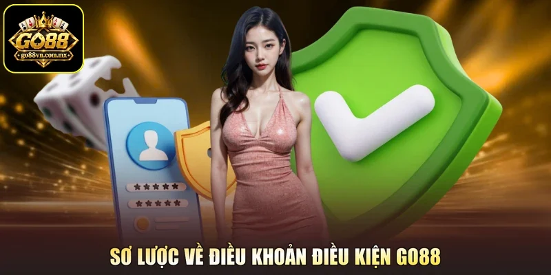 Sơ lược về điều khoản điều kiện Go88